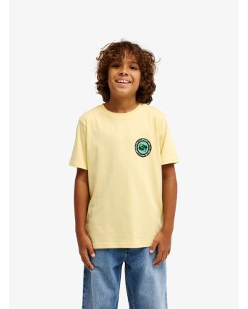 Niño con Camiseta de manga corta Quiksilver Youth Ev Duality Straw Amarilla