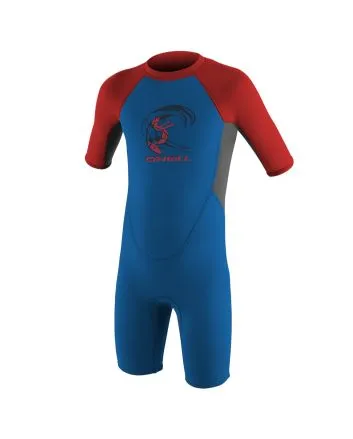 Traje de surf de primavera con manga corta y cremallera en la espalda O'Neill Toddler Reactor II 2mm en azul, grafito y rojo para niños de 1 a 6 años